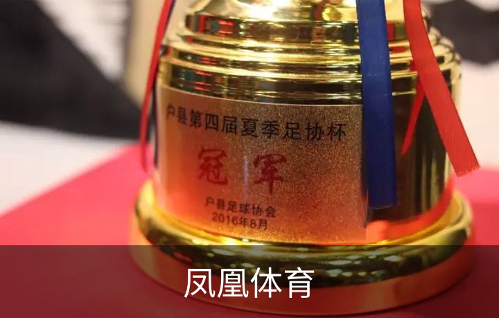 凤凰体育介绍